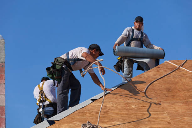 Best Storm Damage Roof Repair  in Cedartown, GA